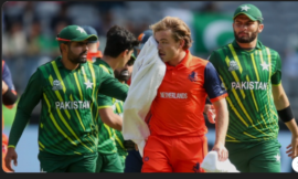 Pakistan National Cricket Team Vs Netherlands National Cricket Team Timeline